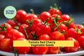 3pcs 100mg Red Cherry Tomato Seeds – Sweet & Juicy Mini Tomatoes for Snacking, Salads, Container Gardening Solanum lycopersicum