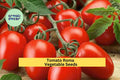 3pcs Roma Tomato Seeds – Solanum lycopersicum, Meaty, Firm, Deep Red, Ideal for Sauces, Canning, Home Gardening
