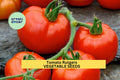 Tomato Seeds 3-Pack 100mg Rutgers Heirloom Juicy Red Solanum lycopersicum for Home Garden & Containers