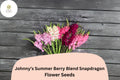 Antirrhinum majus Johnny’s Potomac Summer Berry Blend Snapdragon Seeds – 1000+ Vibrant Cut Flower Seeds for Garden, Borders, and Floral Arrangements