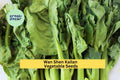 3pcs Wan Shen Kailan Seeds – Chinese Broccoli, Brassica oleracea var. alboglabra, Full Sun, Container & Garden Growing