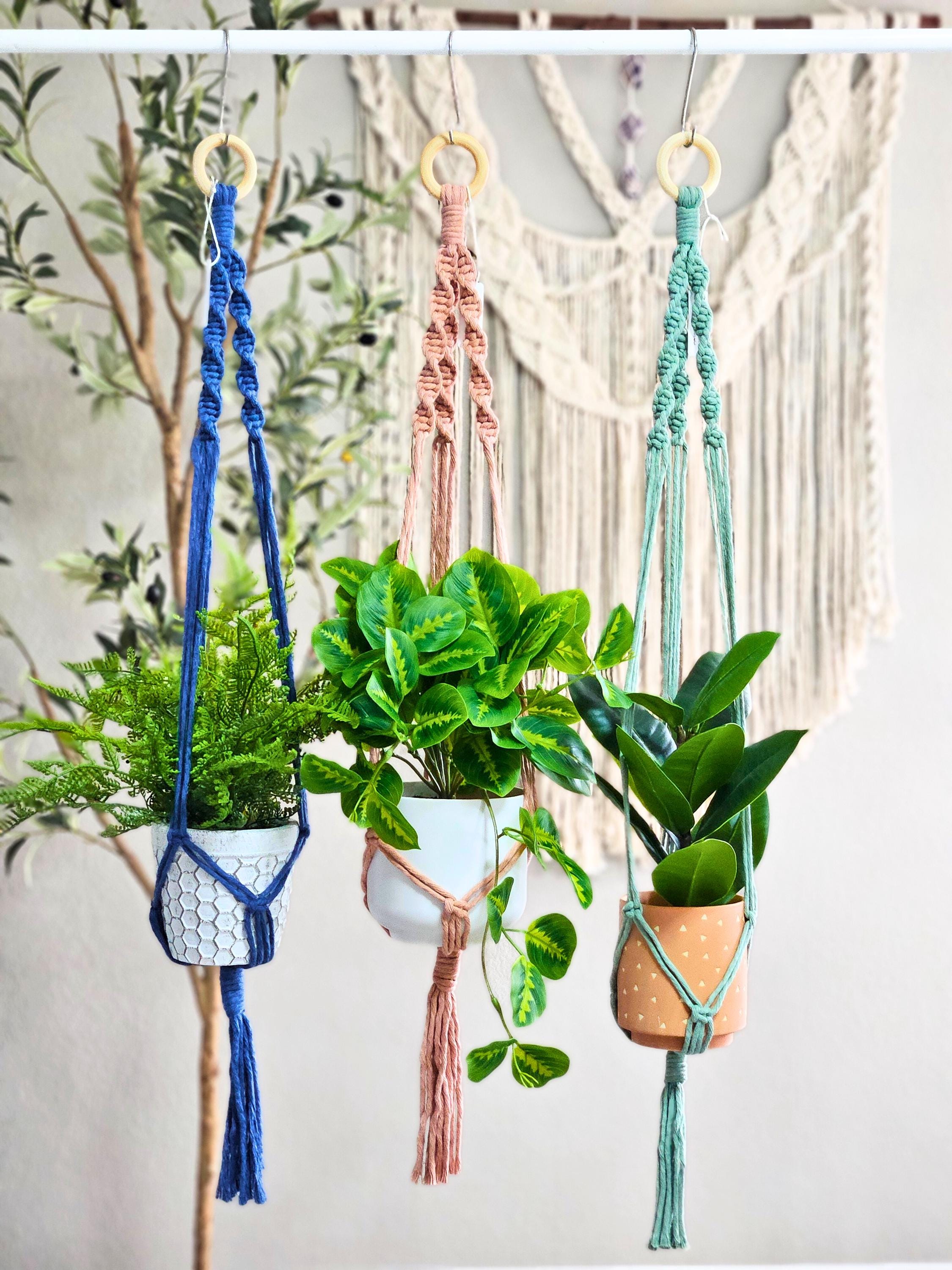 macrame spiral plant hanger Macrame plant hangers. Spiral design. made to order – Nate's Garden Supply