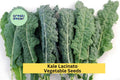 3pcs Lacinato Kale Seeds – Dinosaur Kale, Tuscan Kale, Brassica oleracea, for Gardening, Juicing, Cooking, Salad Greens