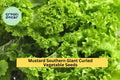 3pcs of 1g Southern Giant Curled Mustard Seeds – Heirloom Brassica juncea for Leafy Greens, Garden Beds & Container Gardening