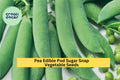 3pcs Sugar Snap Pea Seeds – Edible Pods for Snacking, Stir-Fry, Pisum sativum var. macrocarpon