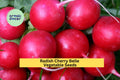 3pcs Cherry Belle Radish Seeds – Fast Growing Round Radish for Salad, Snacks, Container Gardening – Raphanus sativus