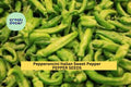 3pcs of 250mg Italian Pepperoncini Sweet Pepper Seeds – Heirloom Capsicum annuum for Pickling, Salads & Garden Growing