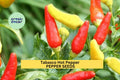 3pcs Tabasco Hot Pepper Seeds – Heirloom Chili for Hot Sauce, Pickling & Garden Growing – Capsicum frutescens Seed Pack