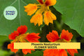 Phoenix Nasturtium Seeds – Fringed Edible Flowers for Garden Beds, Borders & Containers – Tropaeolum majus, Vibrant Red, Orange & Gold