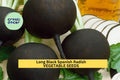 Long Black Spanish Radish Seeds – Heirloom Winter Radish, Black Skin & White Flesh, Raphanus sativus, 500+ Seeds