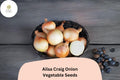 Ailsa Craig Onion Seeds, Heirloom Giant Sweet Allium cepa, 500+ Seeds for Large Bulbs, Gourmet Flavor, Full Sun Garden Plant