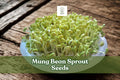 100 Mung Bean Sprout Seeds – Vigna radiata – Edible Fresh Sprouts for Salads & Stir-Fries