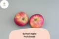 Suntan Apple Seeds | 25+ Malus domestica Late Season English Variety for Home Garden, Sweet & Aromatic Fruit