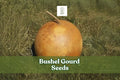 10 Bushel Gourd Seeds - Giant Round Ornamental Gourds for Crafts - Lagenaria siceraria - Easy to Grow, Perfect for Decoration