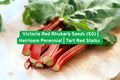 Victoria Red Rhubarb Seeds – Heirloom Perennial, Tart Bright Red Stalks, Non-GMO, Easy to Grow, for Pies, Sauces, Preserves