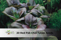 Asian Greens Seeds Mix – Red Pak Choi & Tatsoi, Brassica rapa, Fast-Growing, Cool-Season, Container-Friendly, 20 Seeds