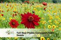 Red Plains Coreopsis Seeds – 1000 Non-GMO Wildflower Seeds for Pollinator Gardens, Annual, Coreopsis tinctoria
