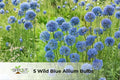 Wild Blue Allium Bulbs | Hardy Perennial Flowers for Borders & Containers | Attracts Butterflies | Allium spp.