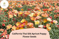 200+ California Thai Silk Apricot Poppy Seeds for Garden Wildflower Mix, Eschscholzia californica, Drought-Tolerant, Pollinator-Friendly
