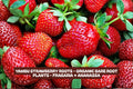 Yambu Strawberry Roots, Fragaria × ananassa, Organic, Sweet & Juicy, Perfect for Garden & Container Planting