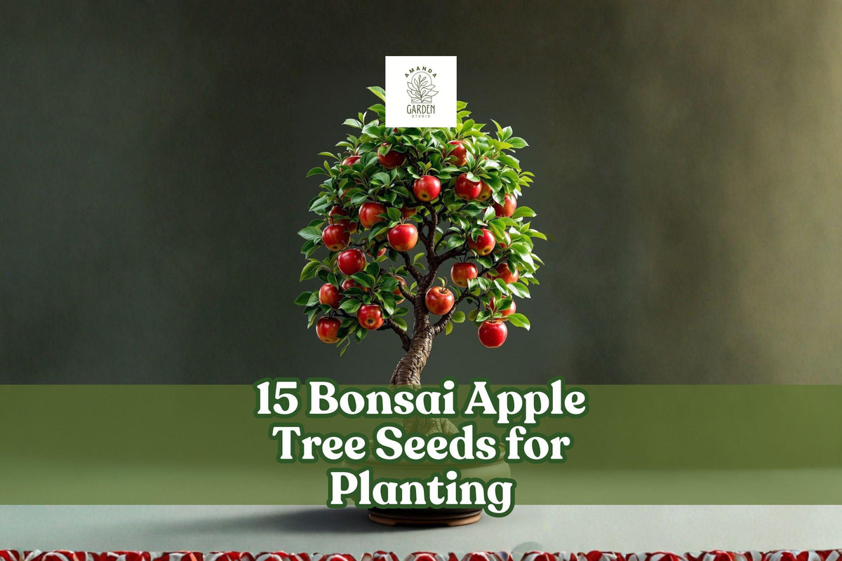 Bonsai Apple Tree Seeds - 15 Malus domestica for Container & Indoor Growing - Mini Fruit Tree for Bonsai Cultivation