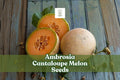 10 Ambrosia Cantaloupe Melon Seeds | Sweet Aromatic Cucumis melo for Home Garden, Vining, Warm-Season Melon Seeds