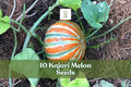Kajari Melon Seeds - 10 Heirloom Fruit Seeds for Planting, Striped Skin Variety (Cucumis melo) - Exotic Garden Fruit
