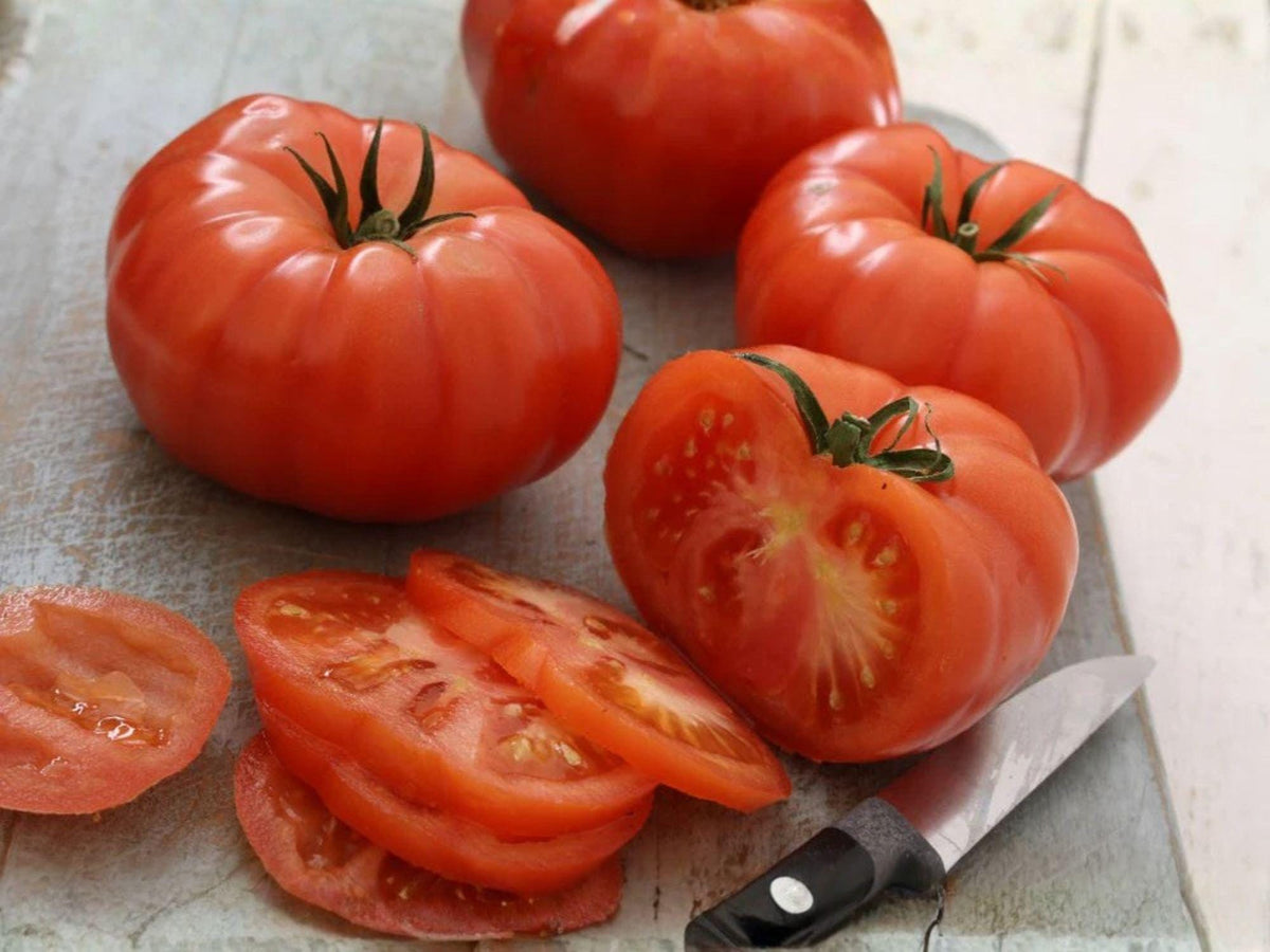 Beefsteak Tomato Seeds – Heirloom, Large Slicing Variety, Indeterminate, Red, 30 Seeds
