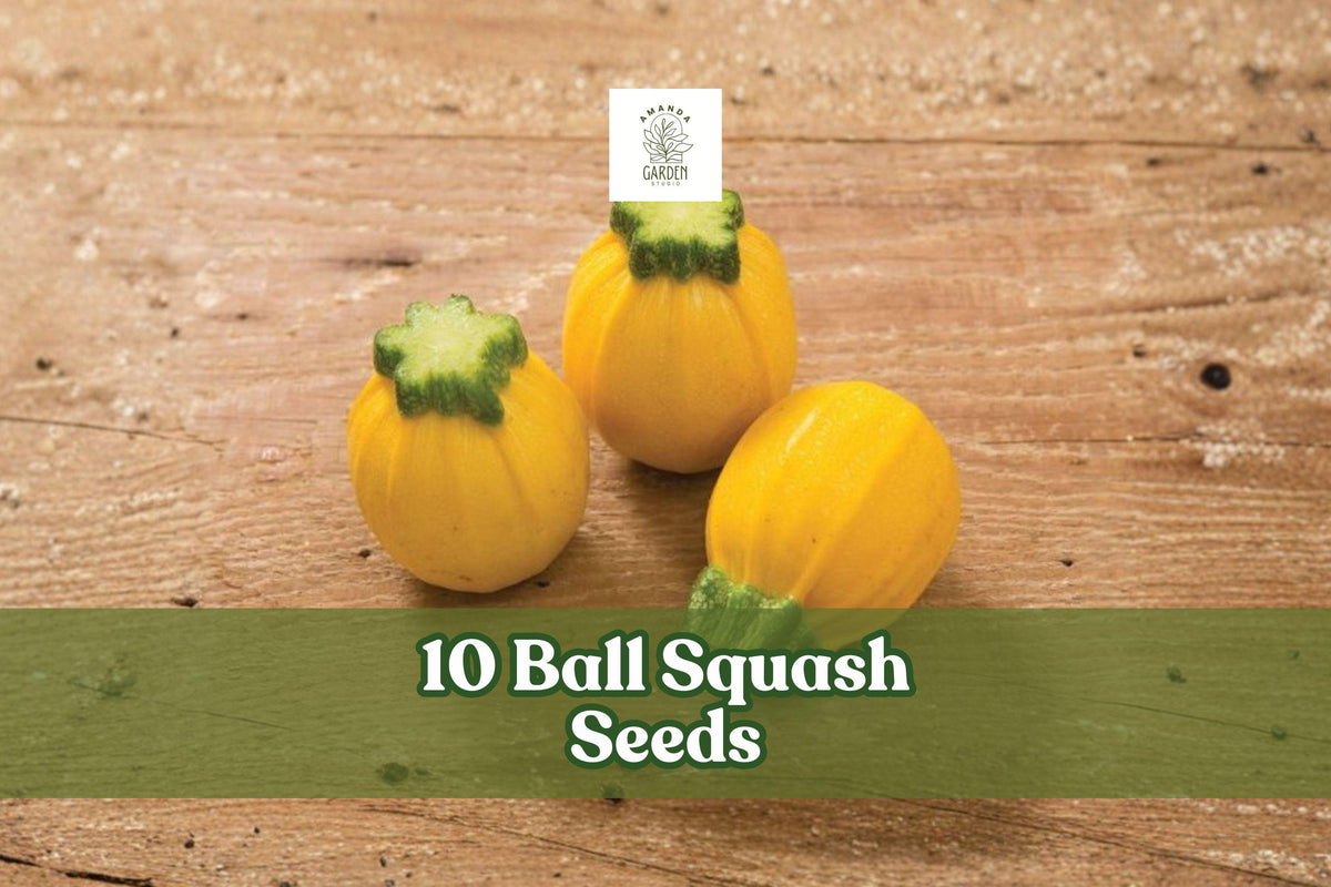 10 Ball Squash Seeds - Exotic Round Vegetable - Cucurbita spp. - Home Garden Planting, Full Sun, Unique Squash Variety