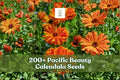 200+ Calendula officinalis Pacific Beauty Mix Seeds for Flower Garden, Border, and Bed Planting