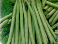 Petite Filet French Bean Seeds – 50 Heirloom Non-GMO Compact Green Bean Seeds for Vegetable Gardens