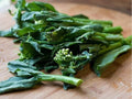 Wan Shen Kailan Seeds 300 Count | Chinese Broccoli, Asian Heirloom, Fast-Growing, Edible Stems & Greens