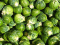 Long Island Brussels Sprouts Seeds – 500 Heirloom, Cold Hardy, Compact Planting, Mini-Cabbage, Non-GMO, Fall Harvest