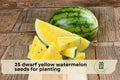 Dwarf Yellow Watermelon Seeds – Compact Citrullus lanatus for Small Gardens, Containers, Raised Beds, Yellow Flesh Fruit