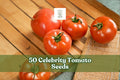 Celebrity Tomato Seeds - 50 Pack - Hybrid Variety for Garden Planting - Solanum lycopersicum - Early Maturity, Medium Fruit