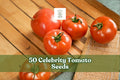 50 Celebrity Tomato Seeds – Hybrid Solanum lycopersicum for Garden, Container, and Raised Bed Planting