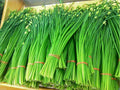 Flowering Chinese Leek Seeds – Edible Garlic Chives, Allium tuberosum, Heirloom Non-GMO, Pollinator Friendly Herb