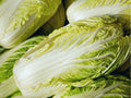 Michihli Chinese Cabbage Seeds – Heirloom Napa Type, Crisp & Fast Growing, Non-GMO, 300 Seeds