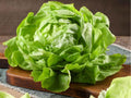 Bibb Butterhead Lettuce Seeds – Heirloom, Non-GMO, Compact Garden Variety, Lactuca sativa, 1000 Seeds