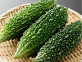 Futo Spindle Bitter Melon Seeds – Asian Gourd with Tapered Fruits, Non-GMO, Momordica charantia, 5 Seeds