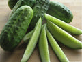National Pickling Cucumber Seeds – Heirloom, Non-GMO, Jar-Size, Crisp, Short Fruits for Pickling & Fresh Use