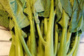 Wan Shen Kailan Chinese Broccoli Seeds - Heirloom Gai Lan, Open Pollinated, Tender Stems, Dark Green Leaves, 300 Seeds