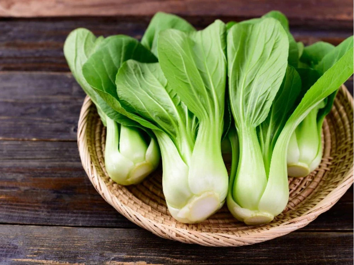 Dwarf Pak Choi Seeds | Baby Bok Choy Asian Green | Non-GMO Brassica rapa subsp. chinensis | Compact, Fast-Growing Vegetable