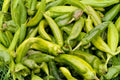 Anaheim Hot Pepper Seeds – Heirloom Chili for Roasting, Mild Heat, Garden Harvest, Organic, 25 Pack