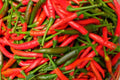 Thai Chili Seeds – Heirloom Capsicum Frutescens for Spicy Hot Peppers, 25 Seeds for Asian Cuisine & Container Gardening