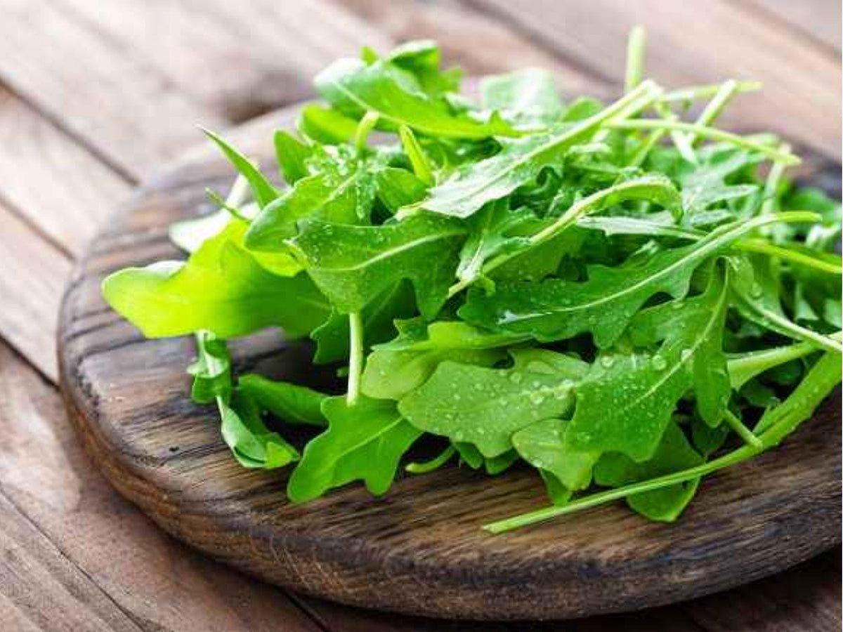 Arugula Herb Seeds – 500 Non-GMO, Heirloom, Fast-Growing Leafy Green for Salads & Cooking (Eruca vesicaria)