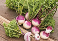 Purple Top White Globe Turnip Seeds – Heirloom Root Vegetable, Cool Season Garden Crop, 500 Seeds