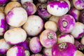 Purple Top White Globe Turnip Seeds – Heirloom Root Crop for Garden Planting, 500 Seeds, Cool Season, Edible Roots & Greens