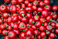 Red Cherry Sweet Pepper Seeds – Heirloom Mini Bell, Non-GMO, High Yield Garden Planting, Organic, Compact, for Containers and Raised Beds