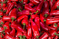 Fresno Chile Hot Pepper Seeds – Heirloom Capsicum Annuum, Medium Hot, Bright Red, Open Pollinated, Garden Plant Seeds